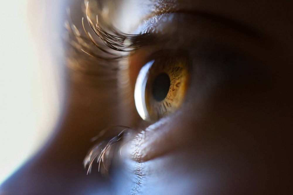Офтальмология и наследственность: какие заболевания глаз могут передаться по наследству